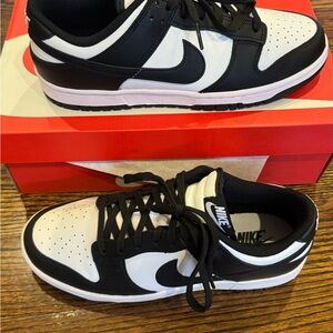Nike Retro Dunks Low